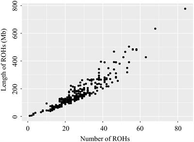 Genome-Wide Assessment of Runs of Homozygosity and Estimates of Genomic Inbreeding in a Chinese Composite Pig Breed
